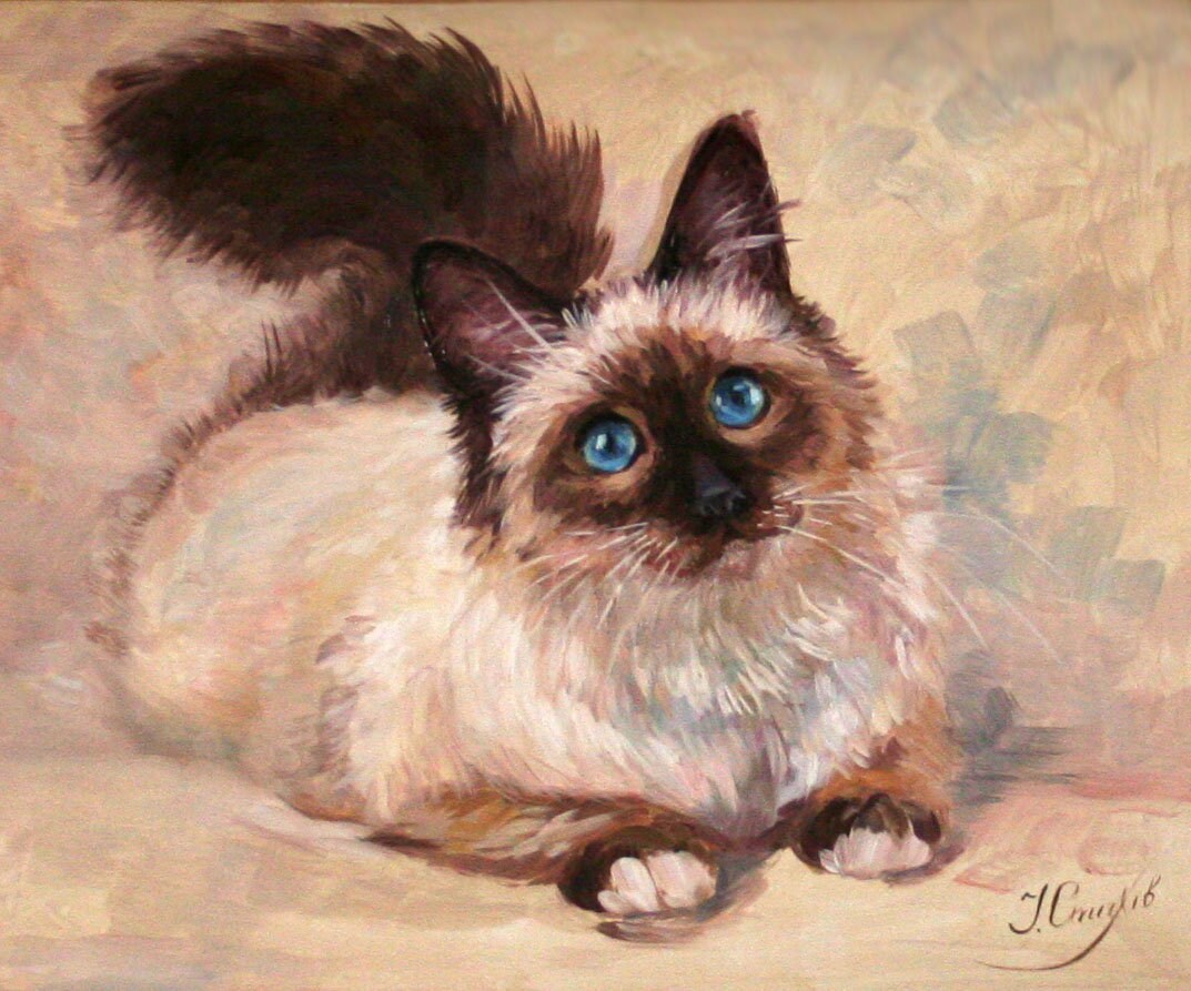 Custom cat portrait oil painting – hand-painted original commission art, not a print