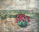 Desert painting &mdash; blooming cactus in desert, origina acrylic art 35x30 cm with gold leaf