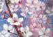 original oil painting of cherry blossoms, spring art 16x24